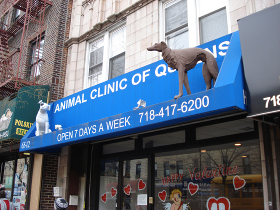 The Animal Clinic of Queens Monuments
