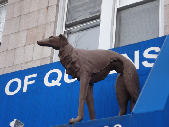 The Animal Clinic Monument — Detail