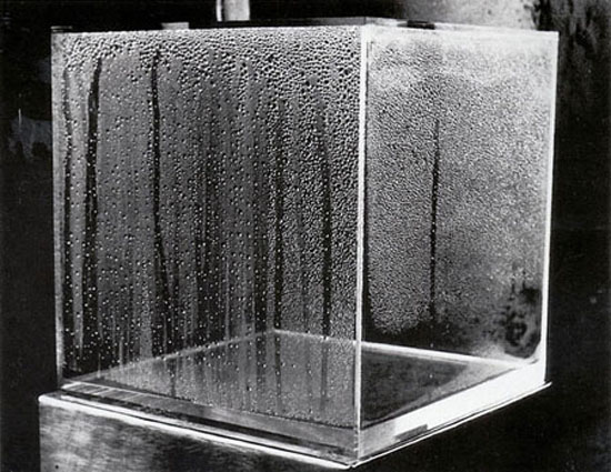 Hans Haacke - Condensation Cube (1963)