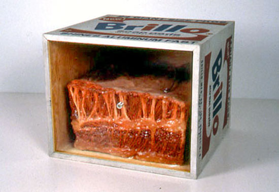 Paul Thek - Meat Piece With Warhol Brillo Box (1965)
