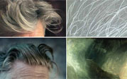 Post image for David Lynch’s Hair and Famous Works of Art: A Comparative Study