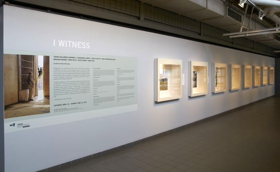 I Witness, installation view