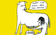 Post image for An Interview with David Shrigley: What The Hell Are You Doing?